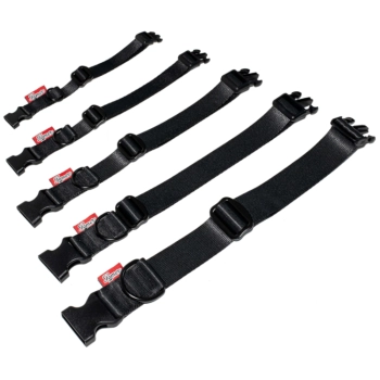 Halsband BASIC - schwarz